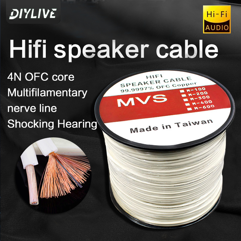 Home Cinema Xlr - DIYLIVE HiFi Hoparlör Hattı Ev Sineması