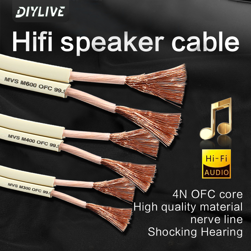 DIYLIVE HiFi Hoparlör Hattı Ev - Home Cinema Xlr incelemesi ve fiyatı