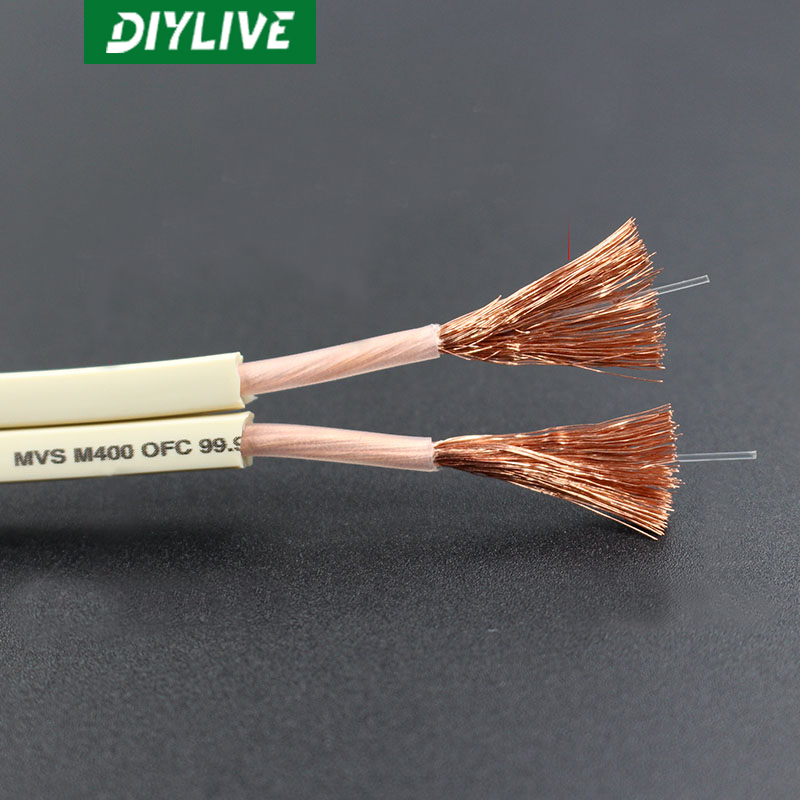 DIYLIVE HiFi Hoparlör Hattı Ev - Home Cinema Xlr incelemesi ve fiyatı